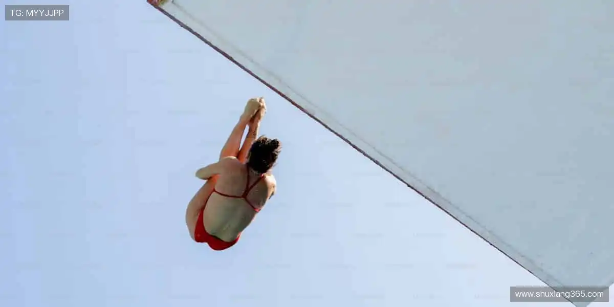 ⚡️ 速度与激情碰撞,